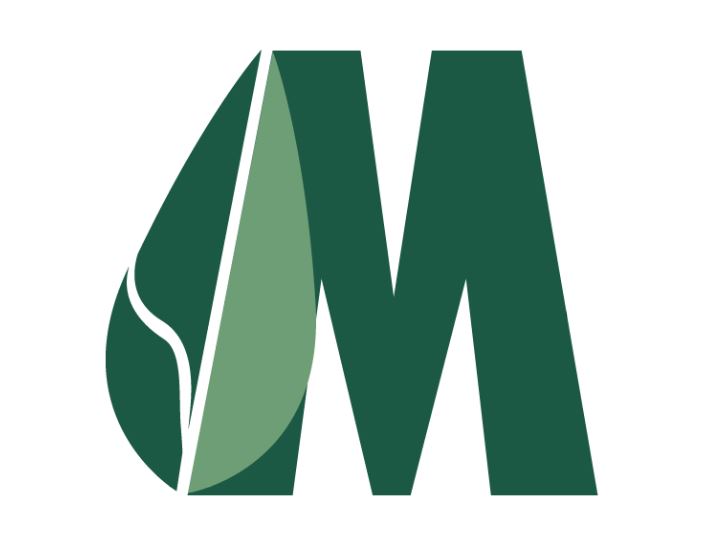 MXN logo